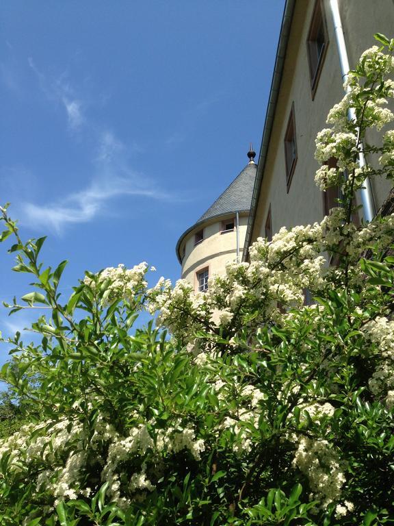 מלון באד מינסטר אם שטיין - אברנבורג Ev.Familienferien-Und Bildungsstaette Ebernburg מראה חיצוני תמונה